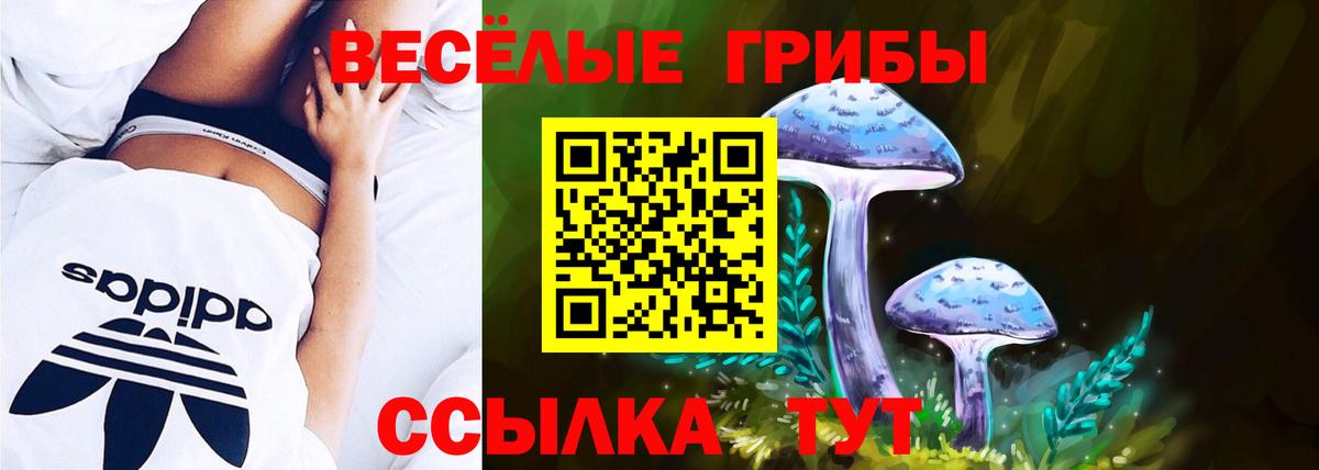 Галлюциногенные грибы прущие грибы Арсеньев